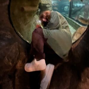 Meet your Posher, Ellise